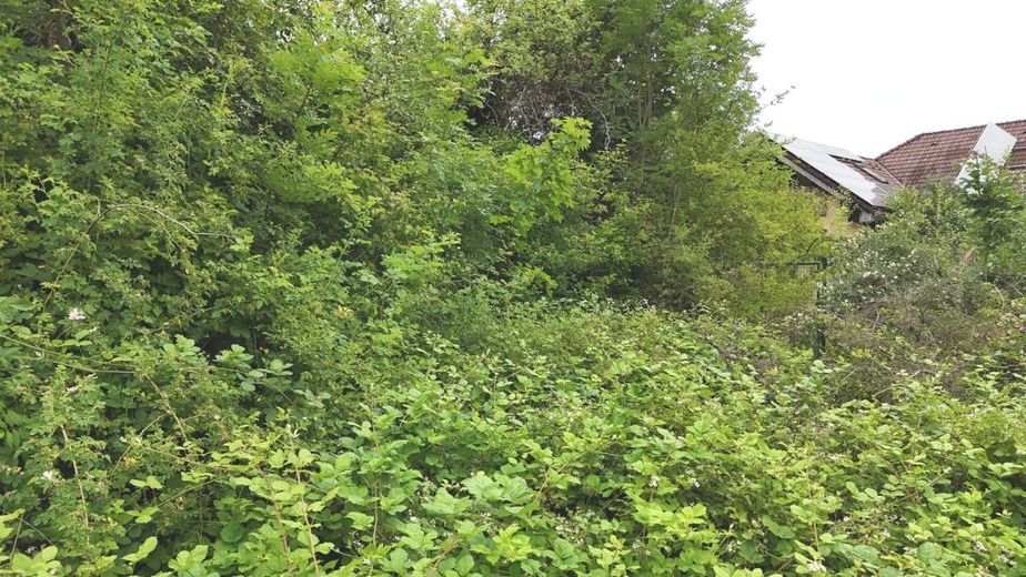 Seltene Gelegenheit im Oberen Maintal: Großzügiges Traumgrundstück mit 1.353 m² in Marktzeuln - Erschlossene Lage &amp; vielseitig bebaubar! – Ansicht 4