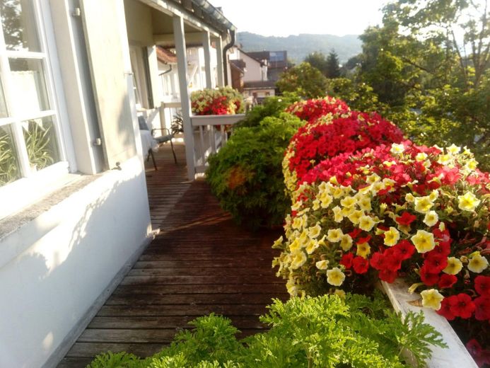 Schöne 6 Zimmerwohnung in Dogern mit großem Balkon – Südbalkon