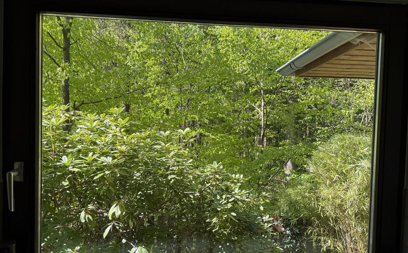 Abitare ai margini del bosco – Blick aus dem Küchenfenster