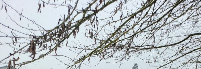 Grundstück im Winterzustand