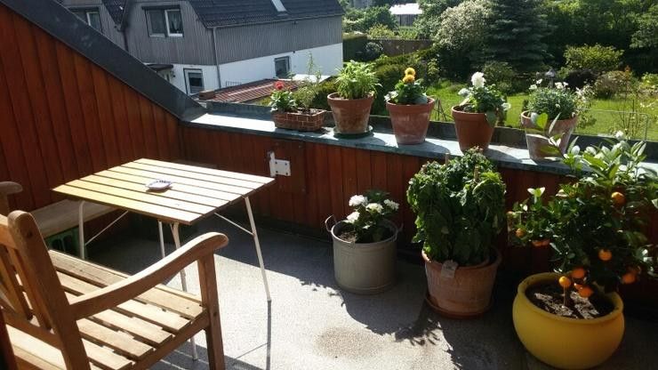 Balkon OG