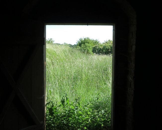 eines der letzten, erhaltenen SCHEUNENGUTSHÄUSER (mit 4-6 ha. Naturgrundstück) – zentr. Torblick Ri. Naturgrdst