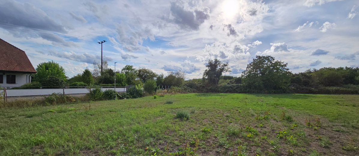 Pfälzerwald manzaralı, pastoral ve sakin yapı arsası – Fotoğraf 3