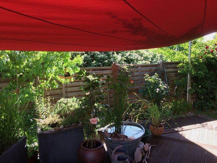 Sonniges Reihenendhaus mit Atelier - ruhige, familienfreundliche Lage, Garten & Blick über Skyline – Südterrasse