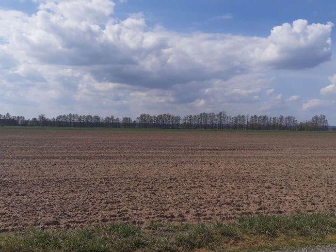 63,9 ha Acker- und Waldflächen in Trebitz und Brück – फोटो 1