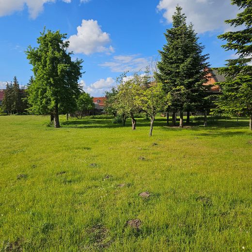 Hofanlage mit Wohnhaus, Scheune & ca. 5.000 m² Land – provisionsfrei – Außenansicht Grundstück