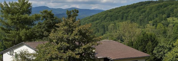 Exklusive 3.5 Zimmerwohnung auf dem Hünerberg