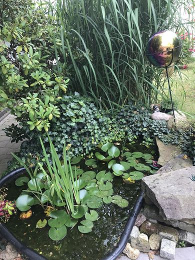 Großfamilienparadies mit großem Grundstück und zu prüfender Entwicklungsperspektive – Teich 