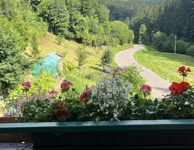 Vom Balkon - Garten und Wiesen