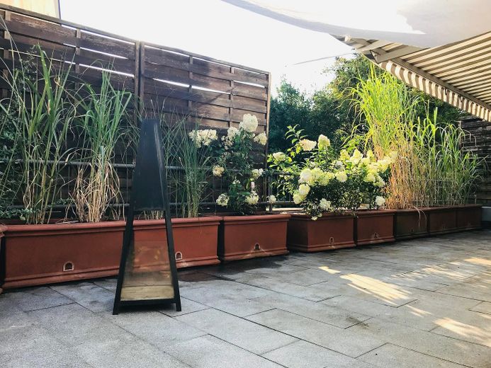 Terrasse Süden