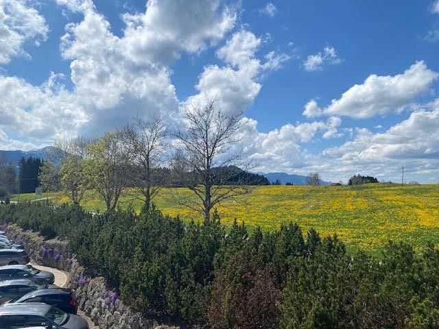 einzigartige Buero/Geschäftsräume im Allgäu bei Kempten, See- und Bergsicht und Business-Fengshui – Foto 15