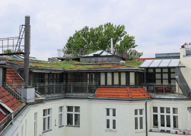 Aussicht Küchenterrasse z. Hof