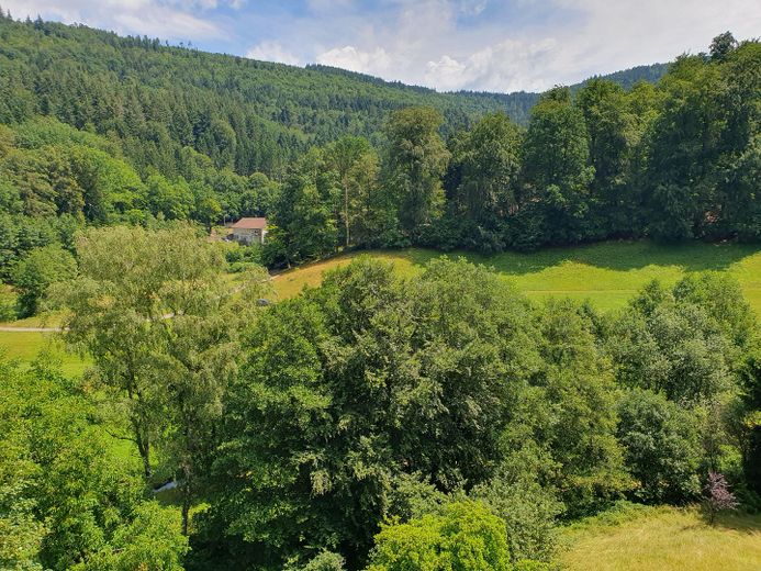 Attraktive lichtdurchflutete Maisonette-Wohnung – Blick von der Terrasse