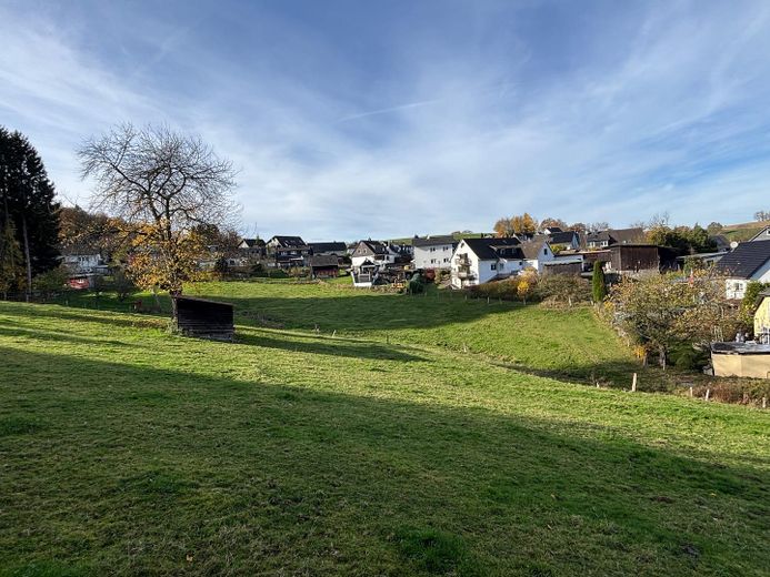 Bauernhof mit angrenzenden Grünflächen inkl Bachlauf – Wiesengrundstück