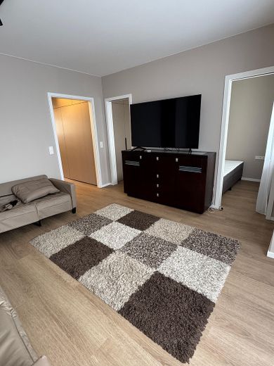 Erstbezug 2026 | Designer-Küche | Balkon | Ankleide | ruhig | teilmöbliert | mit Anmeldung – Wohnzimmer mit TV