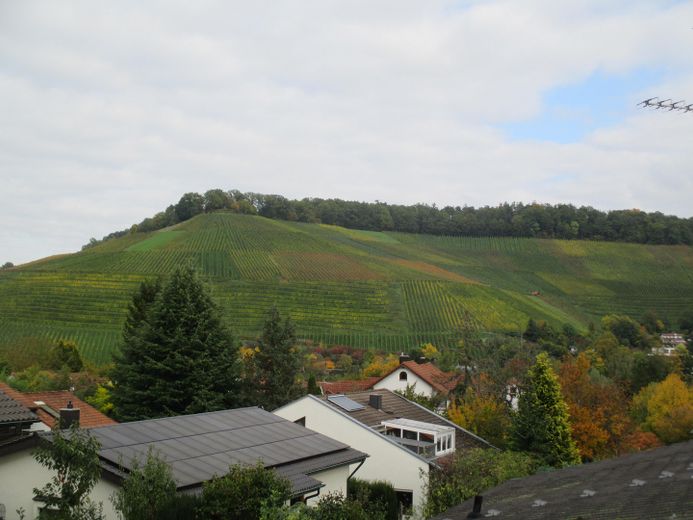 Beilstein, 3 Zimmer DG-Wohnung in bester Aussichtslage – Aussicht