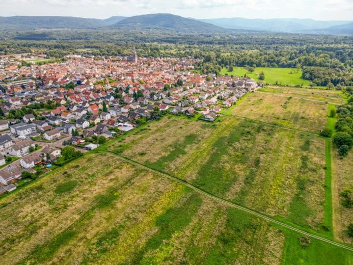 Doppelhaus oder Einfamilienhaus? Hier findet Ihr Wohntraum einen Platz. – Foto 1