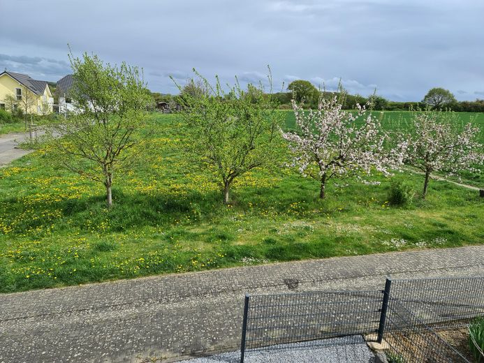 Aussicht nach Osten
