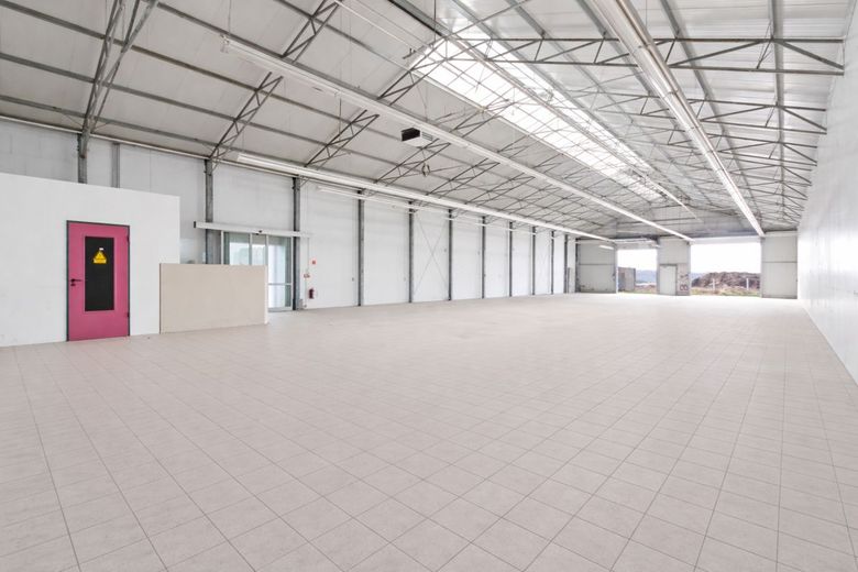 Lager-/Logistikfläche mit Büroanteil in Halle (Saale) - Tornau – Lageransicht 3