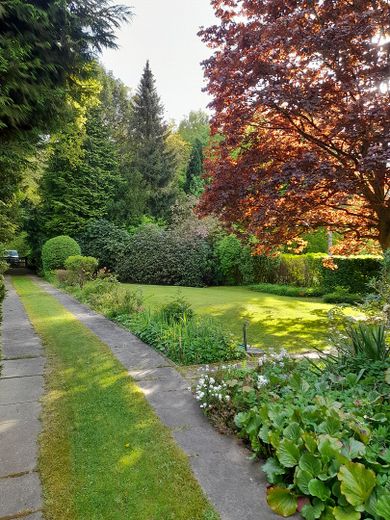 Garten nach Süden mit Schatten
