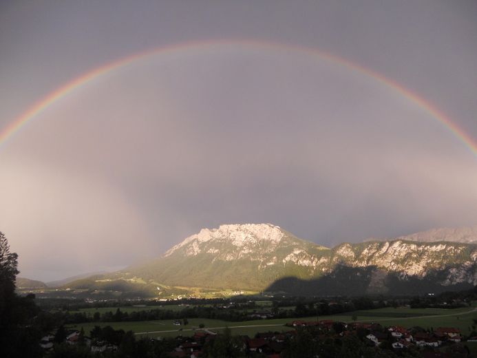 Blick von Terrasse und Garten