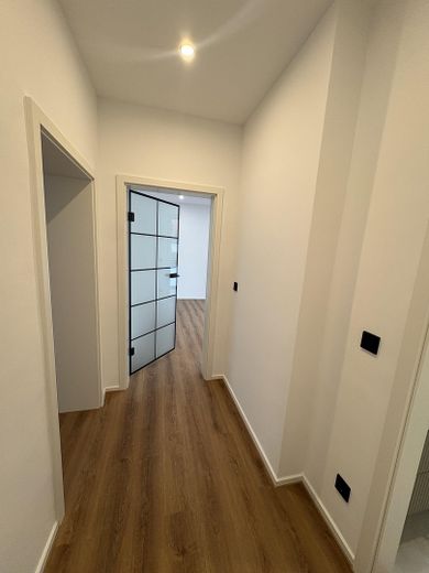 Primera ocupación de un apartamento de 2 habitaciones tras una reforma de alta calidad – Flur