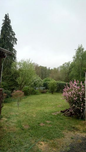 Charmantes Mehrfamilienhaus / Mehrgenerationenhaus freistehend mit großem Garten in Traisa – Foto 29