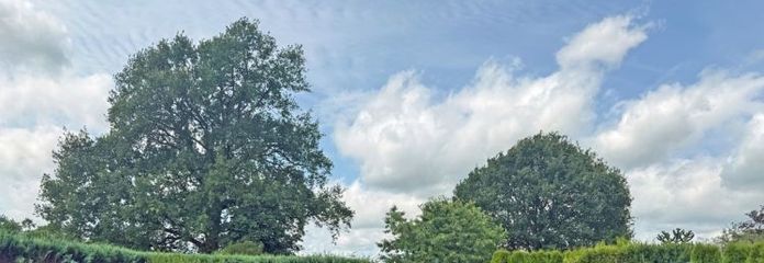 Vaste terrain à bâtir dans un emplacement calme près de Bargteheide