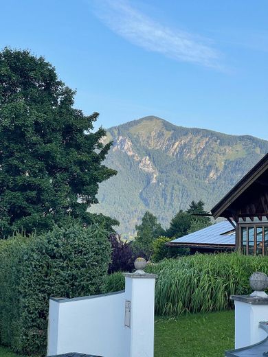 Ausblick