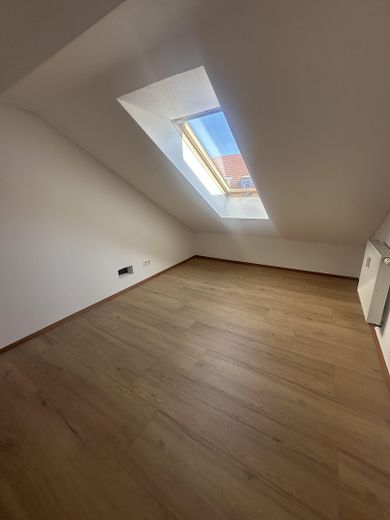 Großzügiges PENTHOUSE Mannheim Oststadt – Foto 4