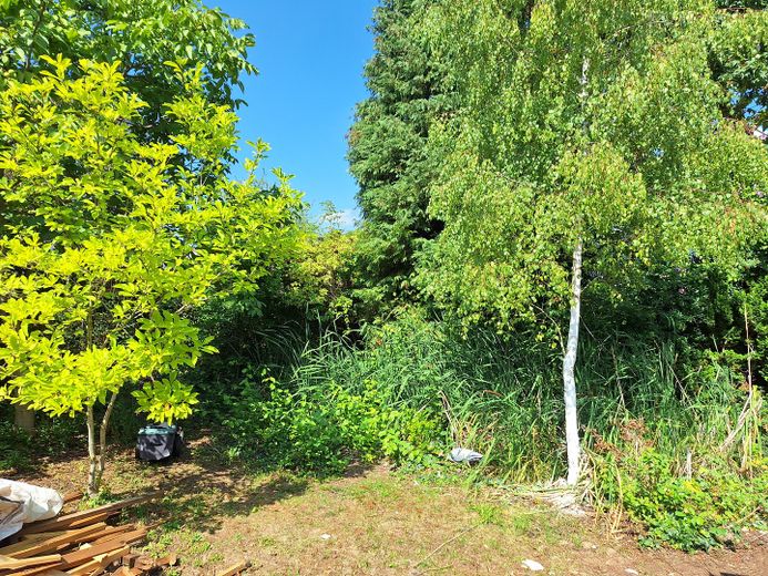 Villa en ubicación privilegiada de Wo-Herrnsheim con gran jardín A + – Westgarten 