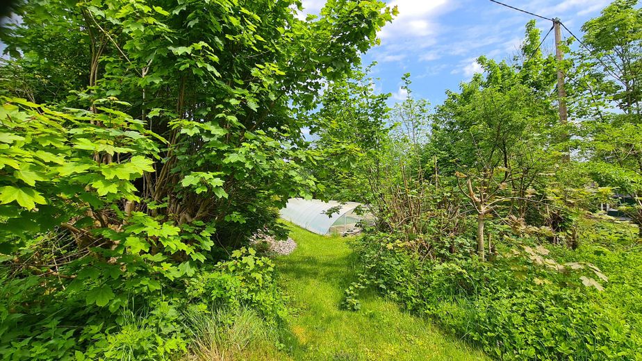 Büyük müstakil ev – Foto 29