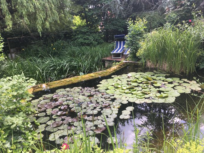 Am Waldrand gelegenes Einfamilienhaus mit ELW und parkähnlichem Garten – Teich oben
