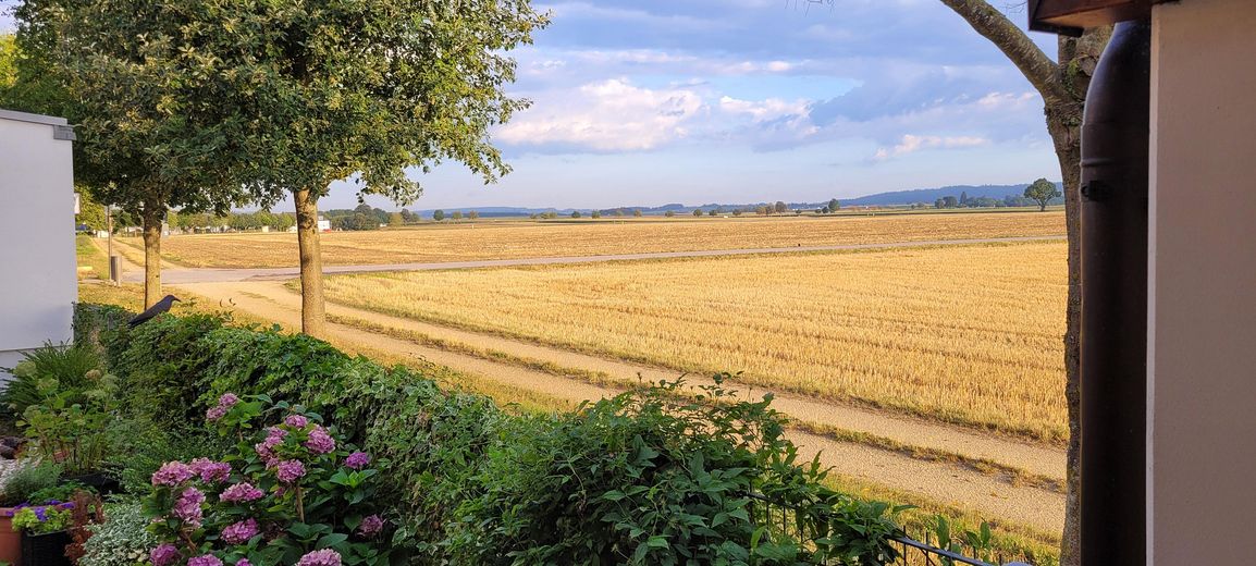 Casa da sogno in posizione eccellente a Gaimersheim – Blick aufs Feld