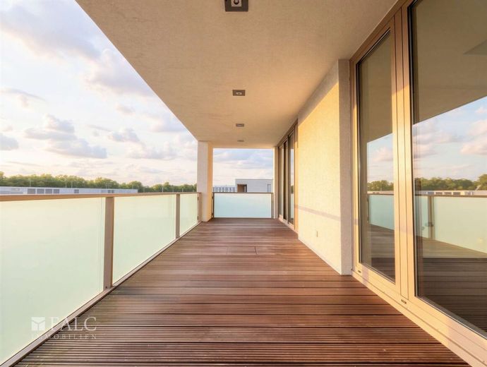 Wohnen über den Dächern Düsseldorfs - 124 m² Wohnkomfort mit Dachterrasse – Dachterrasse.