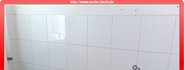 2011-04-03 11-48-30