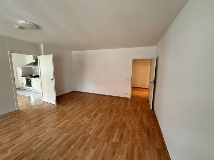 Tolle großzügige 2-Zi Wohnung in ruhiger Lage Sinsheim-Hilsbach – Wohn- /Esszimmer