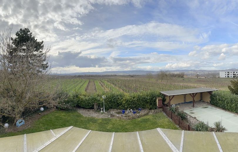 Panorama-Immobilie mit Weitblick: Einfamilienhaus in ruhigem Umfeld! Garten, Garage, Pool! – Weinbergsblick