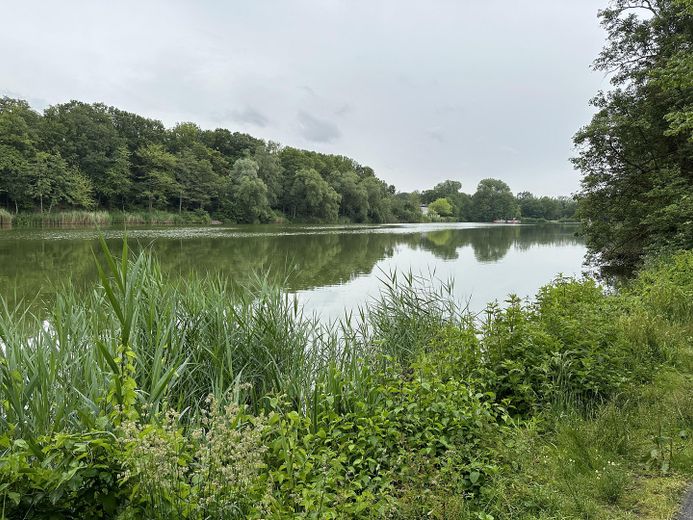 Exklusives Grundstück am Cappenberger See – Foto 7