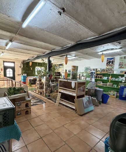 Casa rural con factor WOW: grandes naves, jardín de ensueño y cocina exterior de lujo – Foto 19