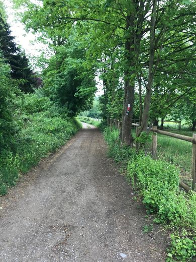 Wanderweg vor dem Haus