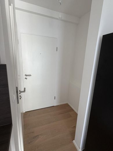 Erstbezug Kernsaniert | Helle 2-Zimmer Wohnung mit Balkon in München-Giesing – Eingangsbereich