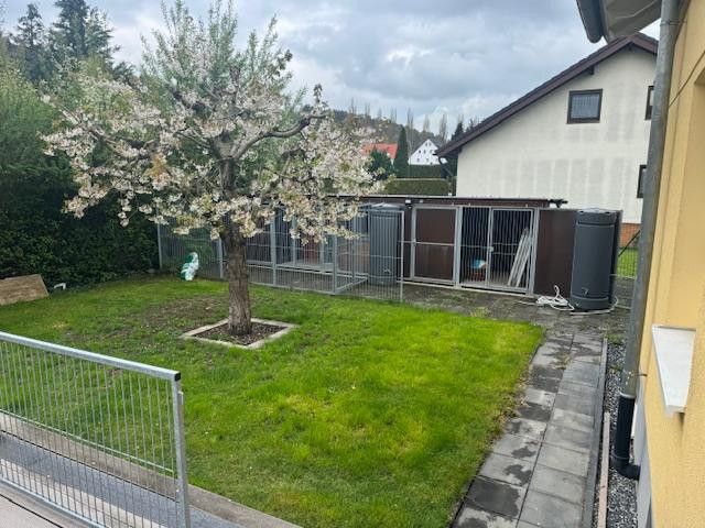 Garten mit Kirschbaum