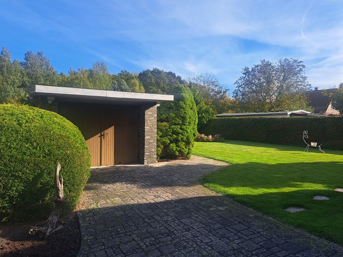Blick auf Garage und Garten