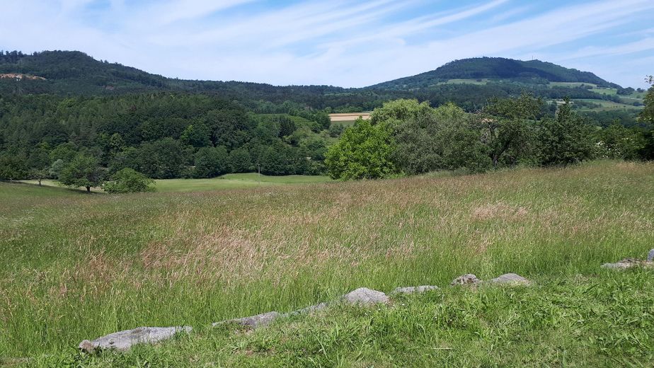 Blick ins Landschaftsschutzgeb