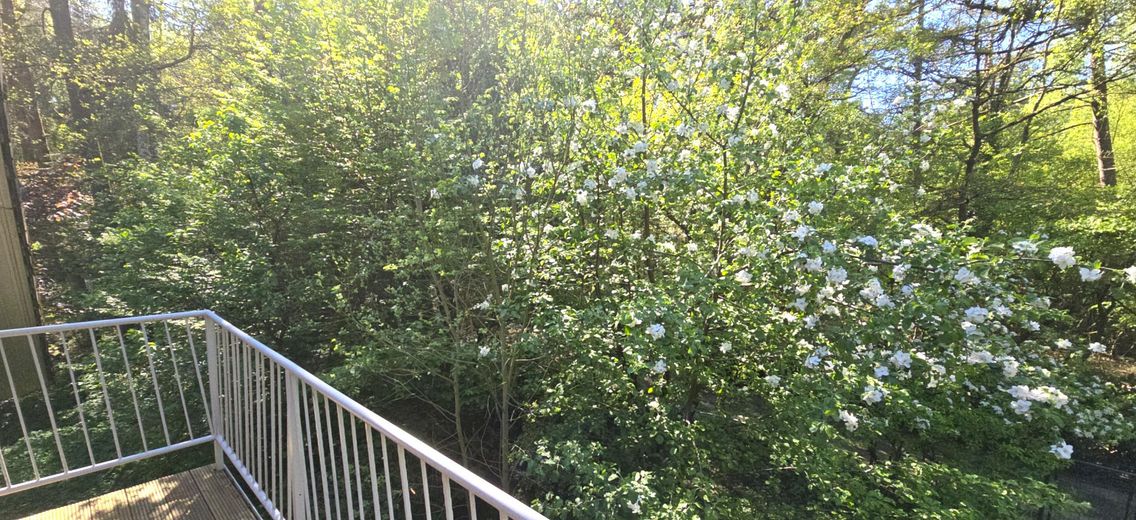 EINZIGARTIG 3 HÄUSER,GROßFAMILIEN-OASE MIT PRAXIS-POTENZIAL,HAMBURGER SPECKGÜRTEL – Balkon Ausblick grüne Oase