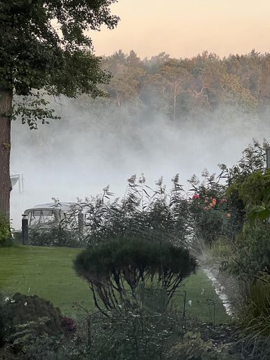 gepflegte Villa mit eig. Seezugang, Steg, Gästehaus, Sauna, Designmobiliar nahe Berlin – Nebel über dem See