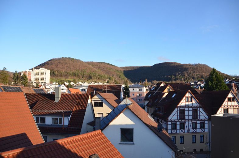 Großzügige 4-Zimmer-Maisonette mit Dachterrasse, Kamin und Albtraufblick – Ausblick