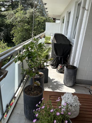Helle 3-Zi Wohnung mit großzügigen Balkon – Balkon