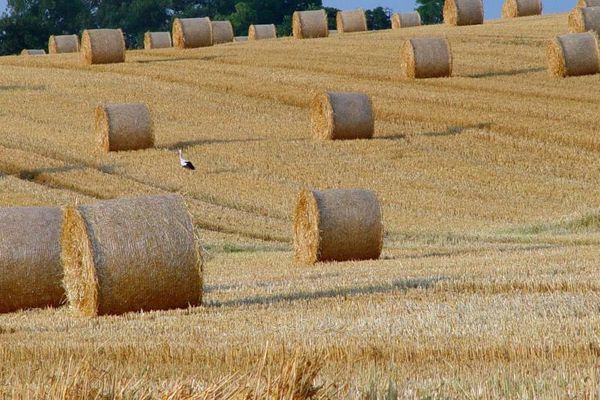 138.966 м² * Ваша земля, ваша інвестиція в майбутнє